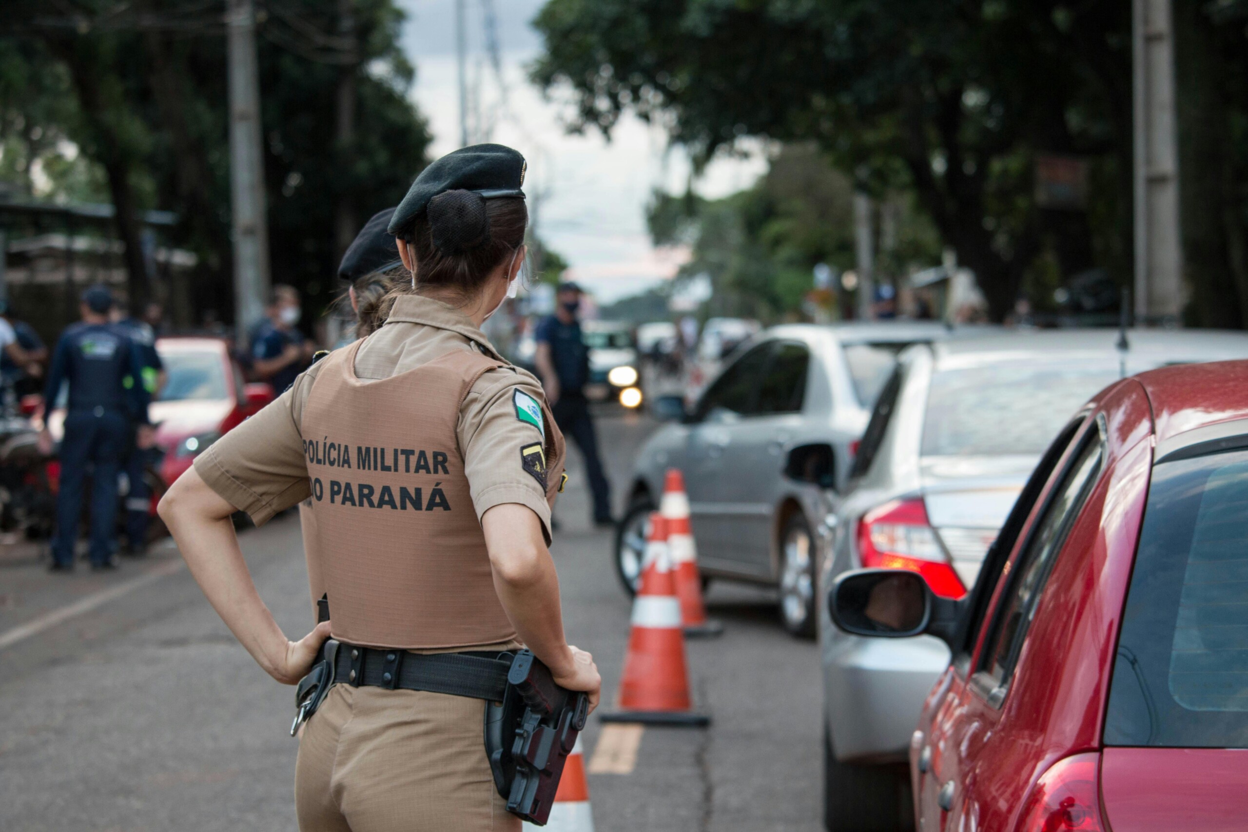 Importance of Car Collision Law